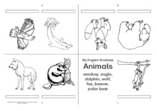Foldingbook-vierseitig-animals-8.pdf